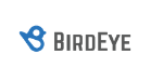 birdeye